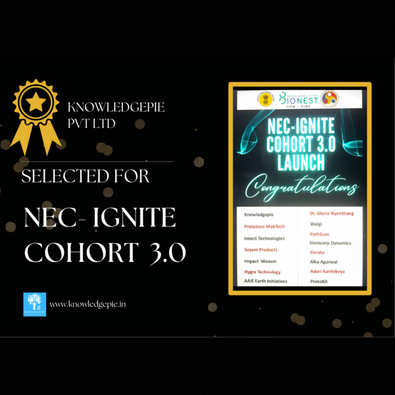 Simple Bordered Image Food Instagram Post (1)